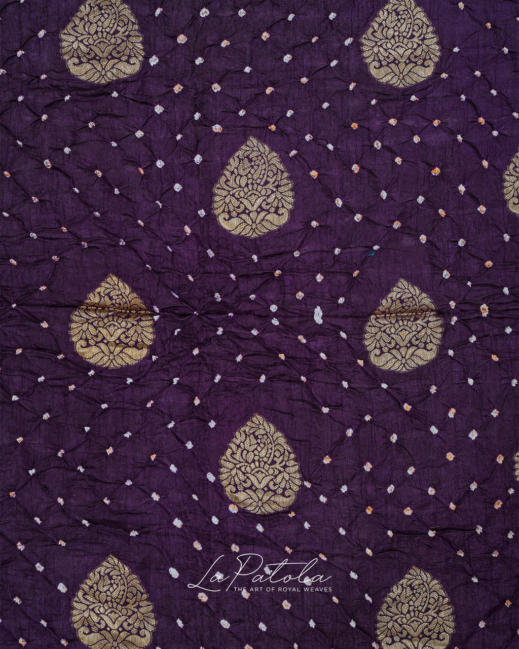 Deep Purple Paisley Pallu Bandhej Saree