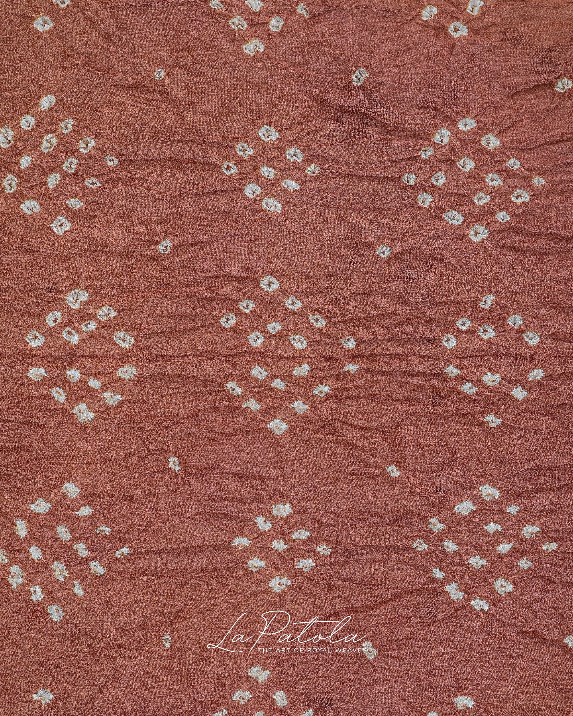 Nude Beige Ornate Pallu Bandhej Saree