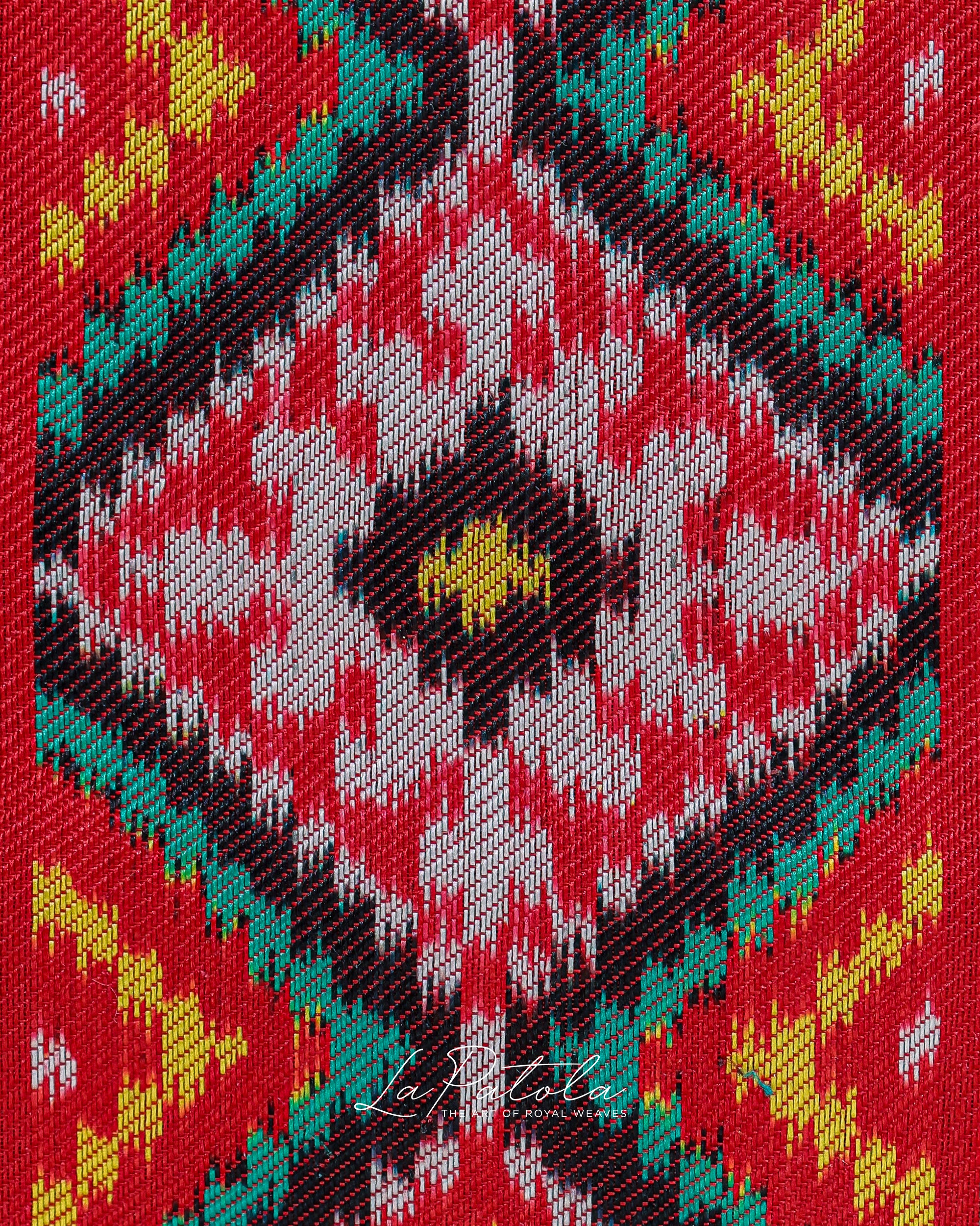 Multicolour Diamond Ikat Patola Saree
