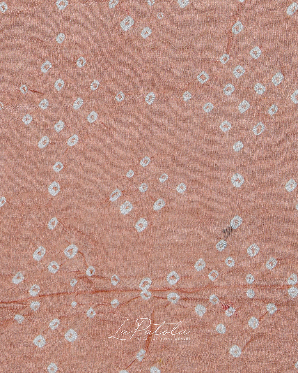 Blush Printed Pallu Bandhej Saree