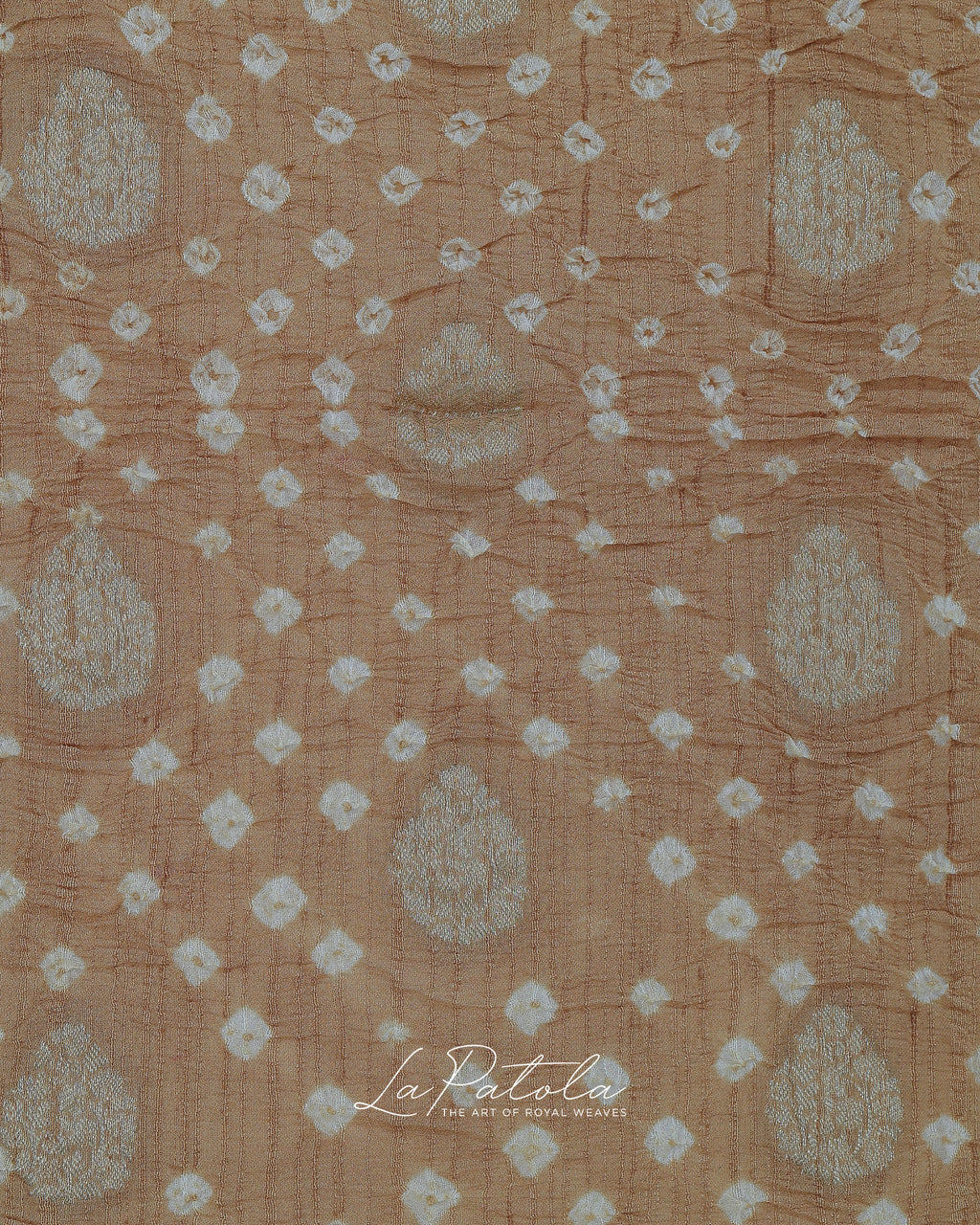 Beige Woven Pallu Bandhej Saree
