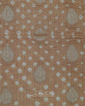 Beige Woven Pallu Bandhej Saree