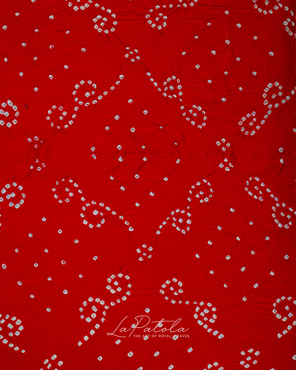 Red Paisley Dot Bandhej Saree