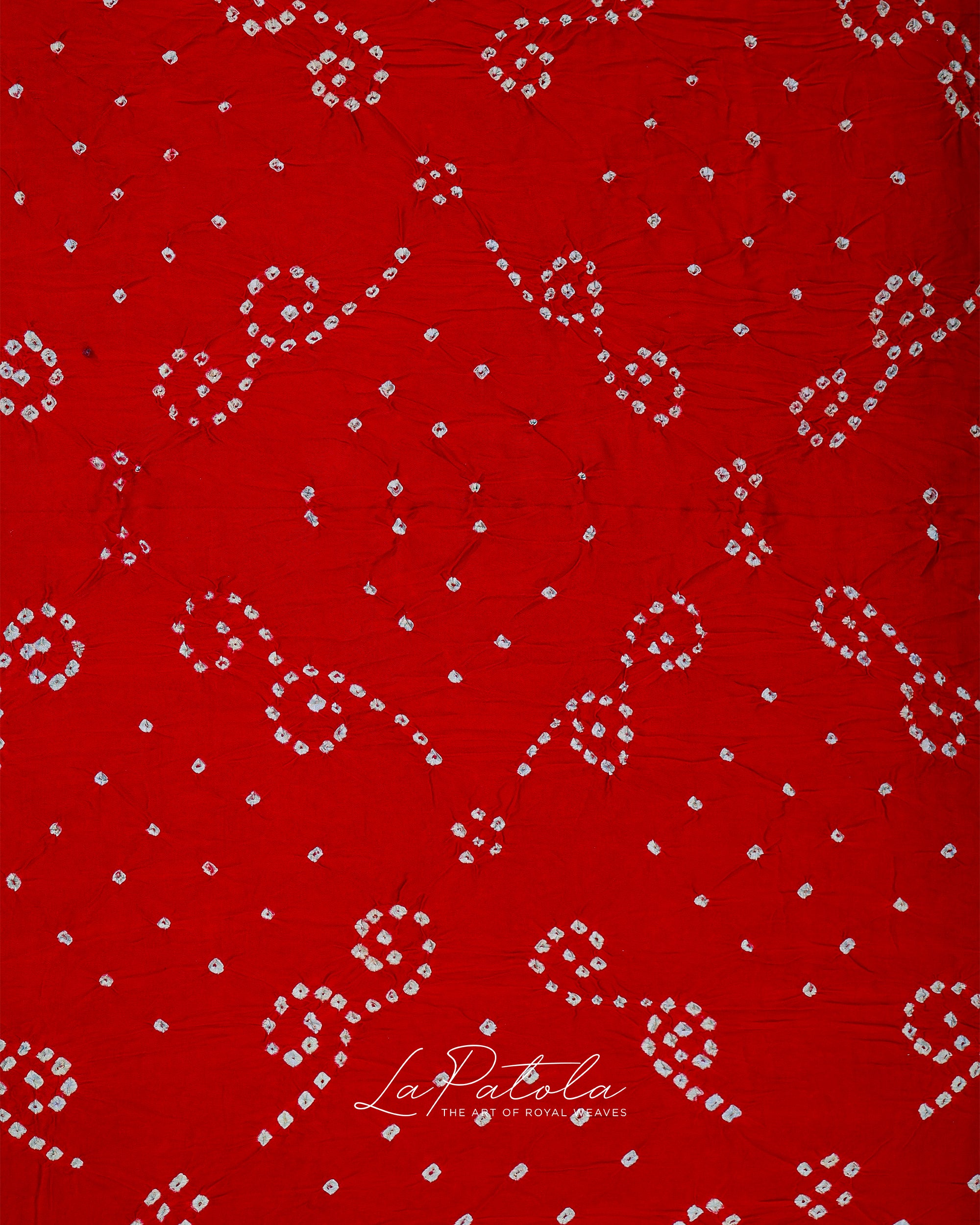 Red Paisley Dot Bandhej Saree