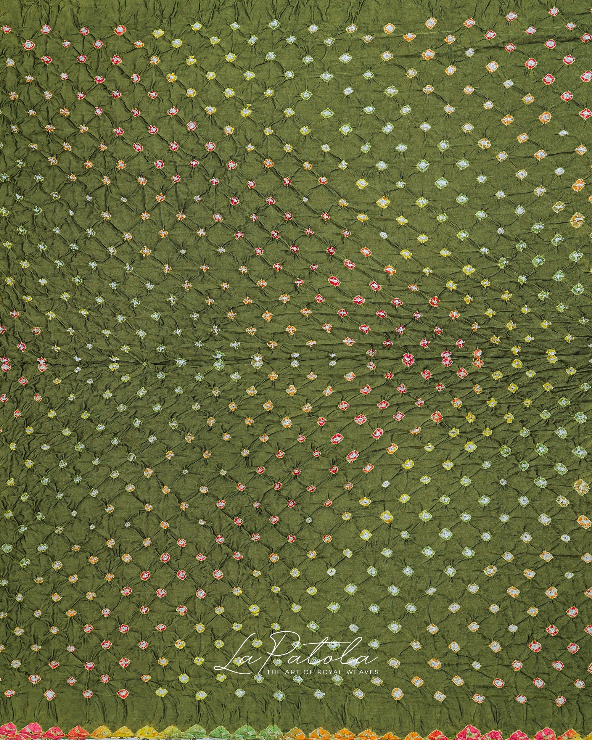Olive Floral Border Bandhej Saree