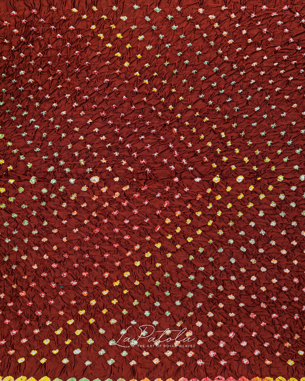 Rust Leaf Border Bandhej Saree