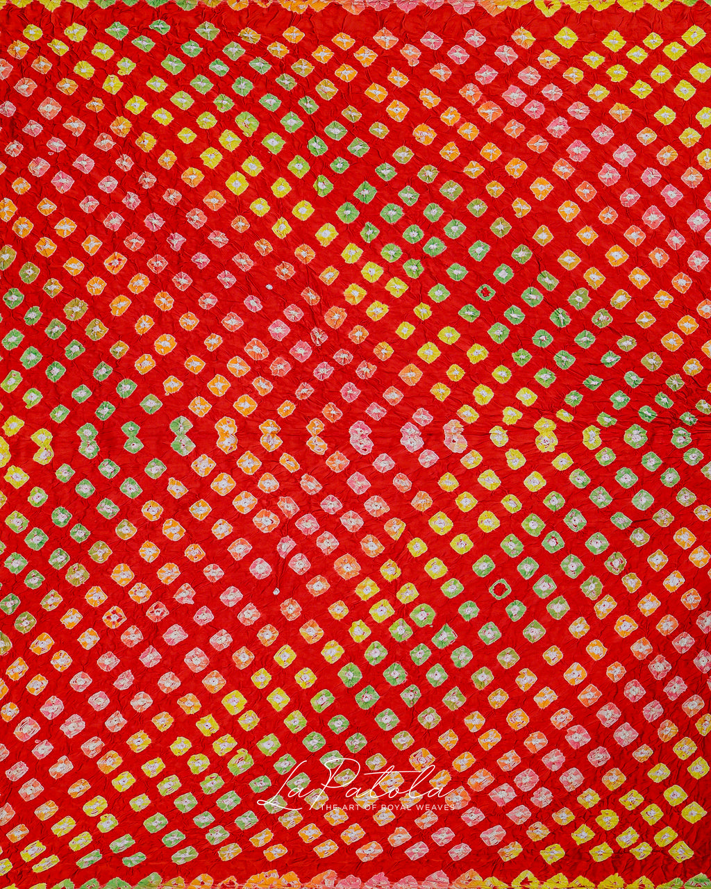 Red Leaf Motif Bandhej Saree