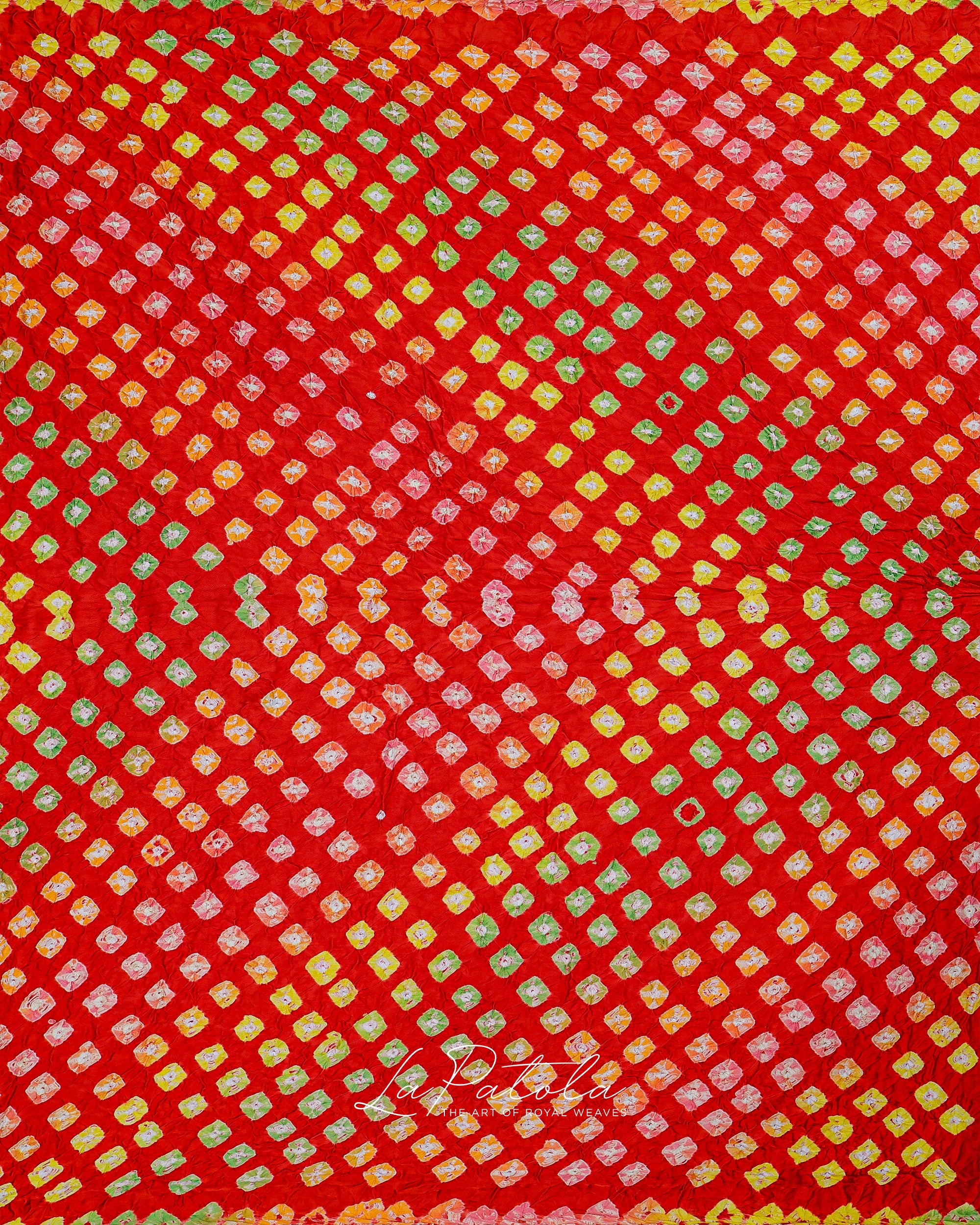 Red Leaf Motif Bandhej Saree