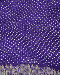Purple Petal Dot Bandhej Saree
