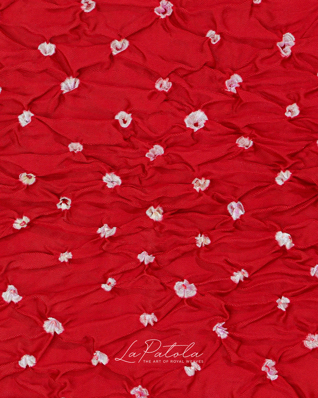 Red Printed Pallu Bandhej Saree