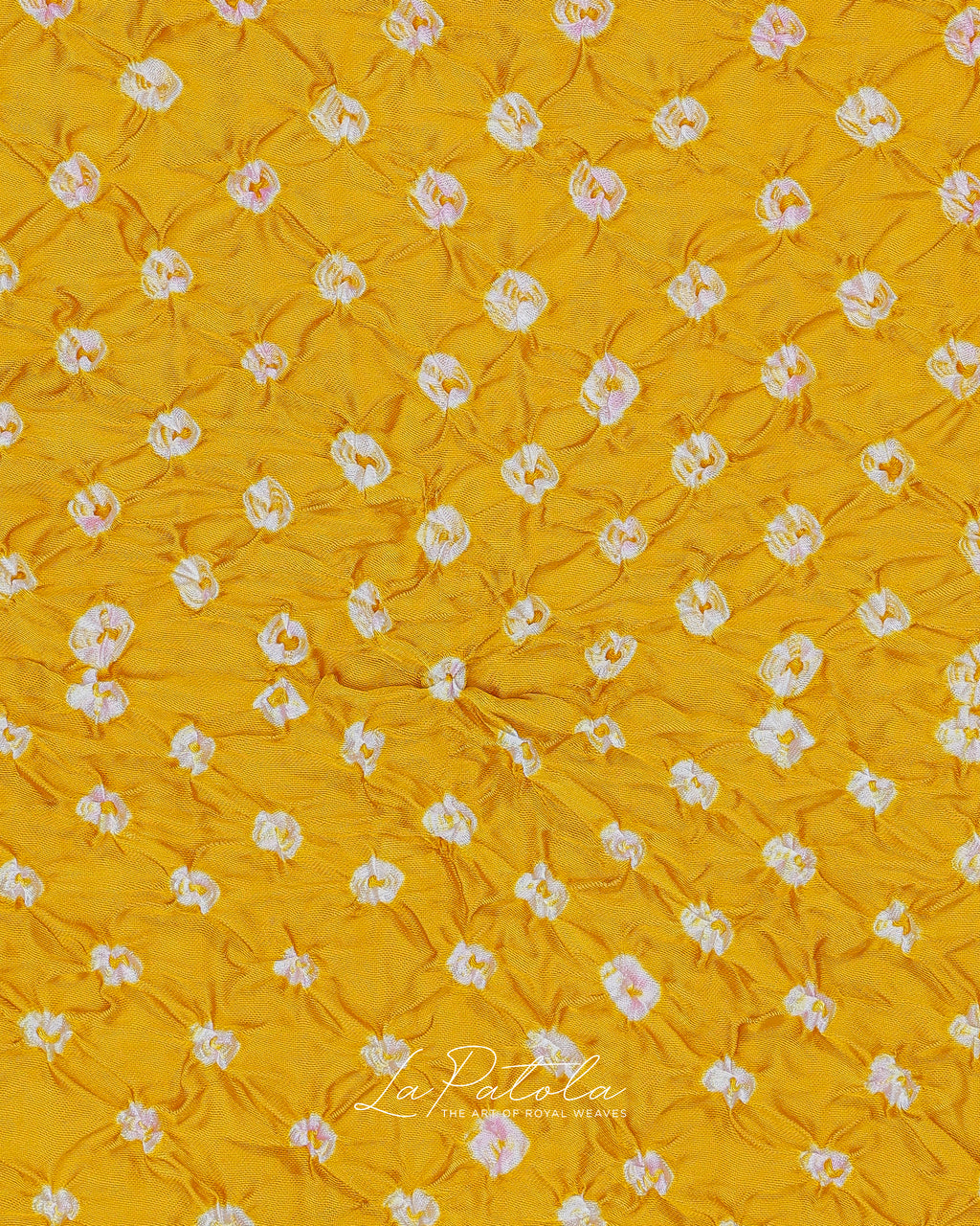 Mustard Printed Pallu Bandhej Saree