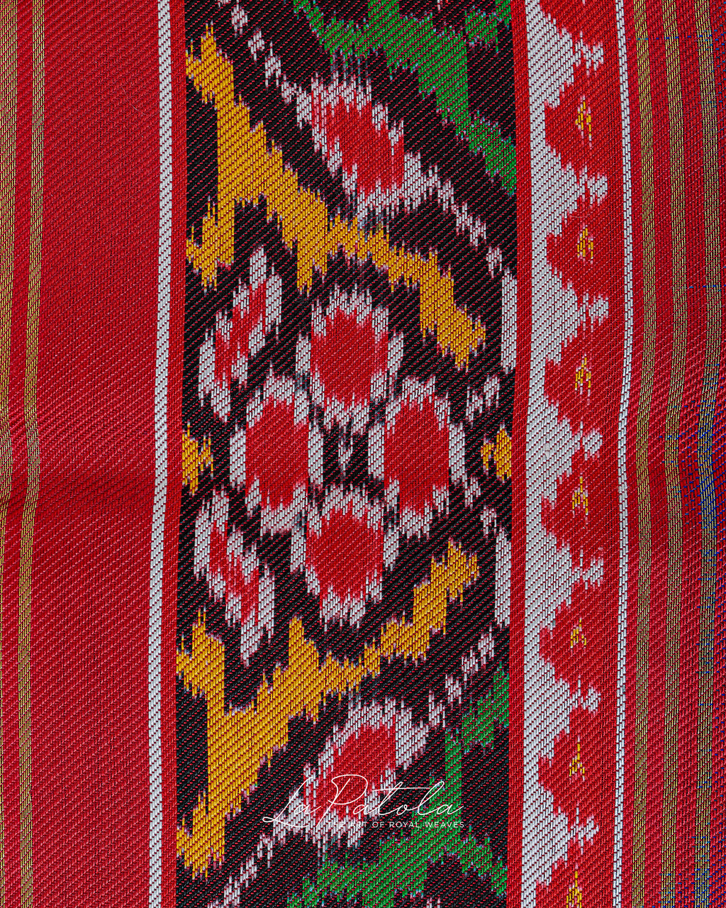 Coral Navratan Stripe Patola Saree